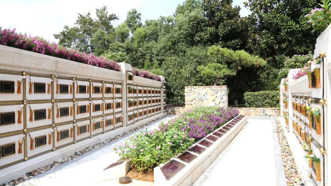在合肥大蜀山文化陵园，与生命温柔对话