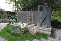 致敬“平安卫士”，铭记“刑警之魂”